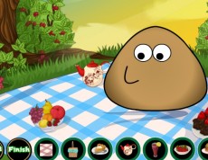 Pou Picnic - Pou ide na piknik, pridaj sa!