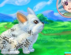 My Cute Rabbit - Postaraj sa o zajačika